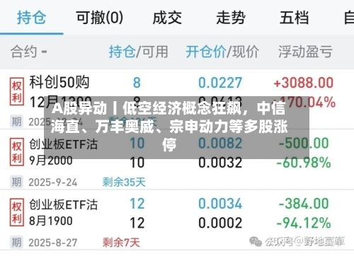 A股异动丨低空经济概念狂飙	，中信海直、万丰奥威、宗申动力等多股涨停-第2张图片