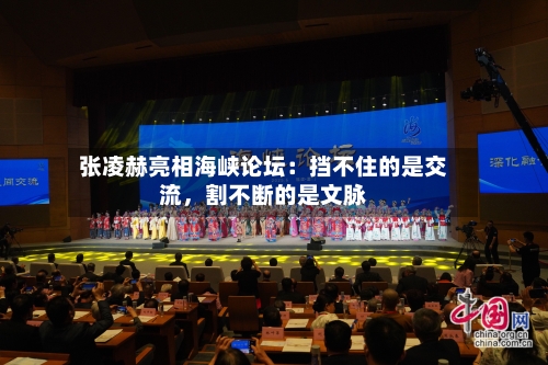 张凌赫亮相海峡论坛：挡不住的是交流，割不断的是文脉-第3张图片