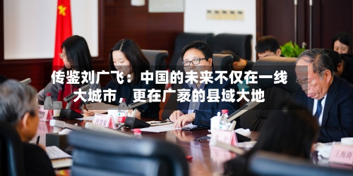 传鉴刘广飞：中国的未来不仅在一线大城市，更在广袤的县域大地-第3张图片