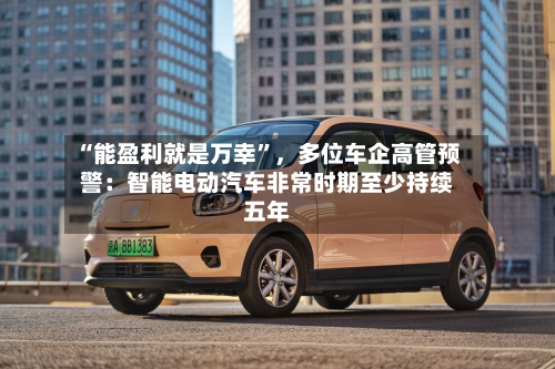 “能盈利就是万幸”，多位车企高管预警：智能电动汽车非常时期至少持续五年-第3张图片