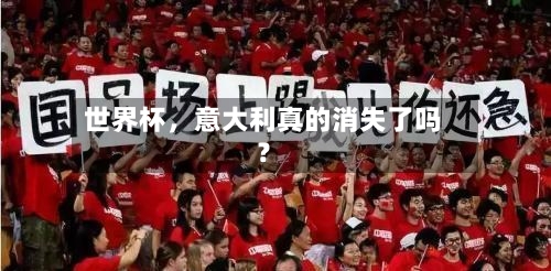 世界杯	，意大利真的消失了吗？-第2张图片
