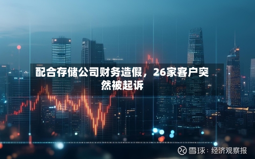配合存储公司财务造假，26家客户突然被起诉-第2张图片