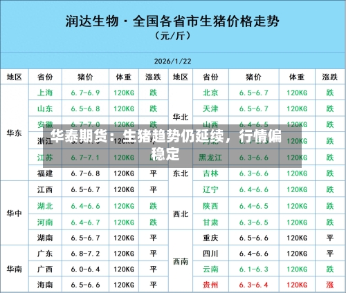 华泰期货：生猪趋势仍延续，行情偏稳定-第3张图片